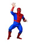 Spiderman Costumes For Men