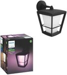 Philips Hue Econic Down Outdoor Sma