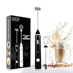 Delm Milk Frother Electric USB Stai