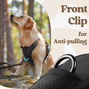 rabbitgoo Large Dog Harness – No-Pull Adjustable, Black