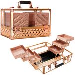 Ver Beauty 3.8mm Armored Acrylic Makeup case Jewelry Portable Travel Organizer with 6 extendable Trays Clear Cover Micro-Fiber Cloth Brush Holders keylocks - vp016, Rose Gold Diamond