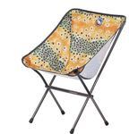 Big Agnes Mica Basin Camp Chair - Brown Trout
