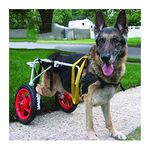 KHUY Wheelchair for Large Dogs Upgraded Dog Wheels for Back Legs Pet Cart Dog Wheel Chair Hind Legs Rehabilitation, Walkin Wheels Help Em Up Harness (Size : X-Large)