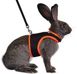 Niteangel Adjustable Soft Harness with Elastic Leash for Rabbits (M, Black)