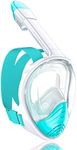 QingSong Full Face Snorkel Mask for