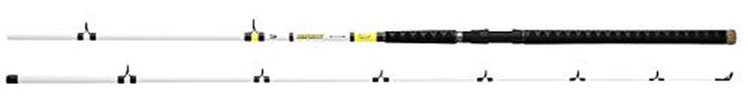 Fishing Rod Beef Kitty Catfish Rod Sections 2 Line Wt. 17-50