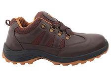 HILLSON Mens Swag Dual Density Tfp Sole Steel Toe Safety Shoe, 7 UK, Brown