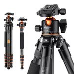 K&F Concept Carbon Fiber Camera Tripod, 62inch Compact Lightweight Tripod Monopod with Ball Head Carrying Bag Loading Up to 33lbs/15KG for DSLR Canon Nikon Sony A255C2+BH-35L