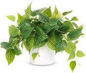 JPSOR Faux Plants Indoor with Ceram