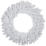 Northlight Unlit White Canadian Pine Artificial Christmas Wreath, 24"