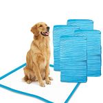 Patch & Marshall XL Pet Training Pads with Adhesive Floor Tape, 60x90 cm, Training Pee & Potty Pads, Heavy Duty,Rapid Dry & Absorbent Core, Suitable for Puppies, Small,Medium, Large Dogs (120 Pieces)