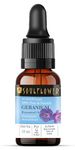 Soulflower Geranium Essential Oil for Hair Growth, Long & Healthy Hair, Minimize fine line & Wrinkles, Smooth Skin, Healthy Scalp for Men & Women | 100% Pure, Natural, Organic, 15ml