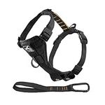 Kurgo Tru-Fit Smart Dog Walking Harness, Quick Release Buckles, No-Pull Training Clip, Includes Seat Belt Tether, Medium-Black