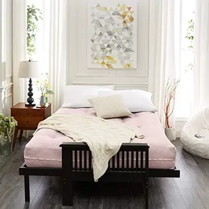 Trupedic Queen Size 10-inch Futon Mattress