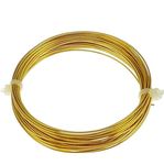 GREENARTZ 33 Feet Craft & Modelling wire for model making and multi purpose use (Brass, 22 Gauge /0.73 mm)