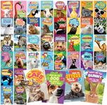 T MARIE 40 Funny Animal Joke Postcards with No Repeats - 4x6” Humorous Bulk Thinking of You Postcards for Kids, Grandkids, Students, and Teachers, Summer Camp, Lunchboxes and More