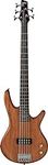 Ibanez 5 String Bass Guitar, Right,