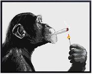 Chimp Smoking Marijuana - Dope Post