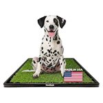 PawLyfe Potty Lawn - 20"x25" Artificial Grass Patch with Tray - Indoor and Outdoor Reusable Grass Pee Pad for Dog Training - Non-Toxic - Easy to Clean - Perfect for Apartments and on Balcony or Porch
