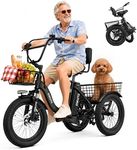T300 Adult Electric Trike Bike 1200