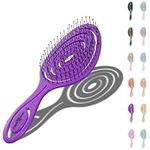 Chiara Ambra Detangling Hair Brush for Women & Men - Does not Pull, Removes Tangles, Brushes for Straight, Curly & Wet Hair - Detangle Brush - Unique Spiral Hairbrush, Plum
