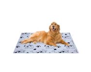 AAZEEM Soft Light Weight Mat for Dogs, Cats & Pets, Skin Friendly Mat| FloorMat | Pet Area Carpet | Anti-Spill 40 X 53 Inches|Black Color|XL Size|