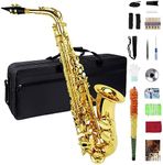 Eb Alto Saxophone, Beginner Saxopho