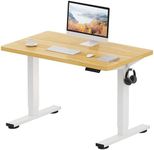 FLEXISPOT ONE PIECE Electric Standi