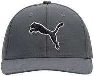 PUMA Evercat Dillon Stretch Fit Cap