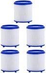 5Pcs Bathroom Sink Filter Element, Sink Faucet Filter Cartridge Element, Water Filtration Cartridge PP Cotton and Calcium Sulfite Ball Double Filtration to Remove Chlorine Fluoride Heavy Metals