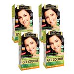 INDUS VALLEY Damage Free Natural Gel Hair Colour for Women | Ammonia & PPD Free Organic Hair Colour with 100% Grey Coverage, Long Lasting Conditioning Hair Color | Dark Brown 3.00 - Pack of 4