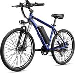 Jasion EB5 Electric Bike for Adults