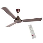 Casa Copenhagen Designed In Denmark Ultra Premium, Dutch Collection, Energy Saving 1200 MM Ceiling Fan with Remote and BLDC Motor, 48 Inch - Core Brown