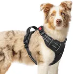 rabbitgoo Dog Harness Medium Sized,