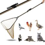 Animal Catch Pole Control Tool Net, Poultry Catching Pole Kit, Cat Catcher, Chicken Catch Net, Poultry Catching Trap Net for Small Animals Support Duck,Goose,Bird, Skunk Bat and Raccoon