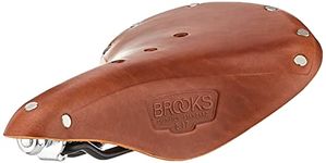 Brooks Saddles B17 Standard Bicycle Saddle (Black Rails, Honey)