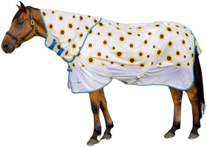 Tempest Or