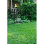 5 Lbs. Shade Grass Seed Mixture