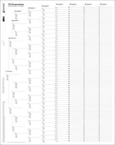 Masthof 15 or 16-Generation Genealogy Pedigree Chart
