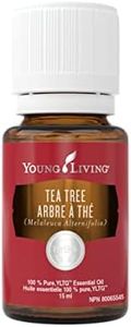 Tea Tree (