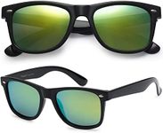 PolarSpex Mens Sunglasses - Retro S