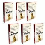 Medilogy Flea and Tick Control: Powerful Dog Flea Killer - Effective Dog Flea Medicine for Large Dogs (20-40 Kgs), Includes 6 Month Supply of Spot On Flea & Tick Prevention