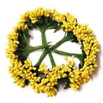 Aleval Art Artificial Pollen Flower for Decoration Pack of 144pc (Yellow)