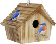 Auslar Bird House, Bird Houses for 