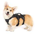 rabbitgoo Escape-Proof Dog Harness Small Dog with Handle, Anti-Pull Reflective Working Service Dog Harness, Breathable Pets Vest, Adjustable Lift Support Body Harness Small Dog Outdoor, S, Black