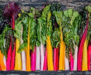 Rainbow Swiss Chard Seeds for Plant