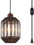 YLONG-ZS Hanging Lamps Swag Lights Plug in Pendant Light 16.4 FT Cord and Chain/Hanging Pendant Light Cage in-Line On/Off Dimmer Switch for Kitchen Island, Dining Room, Entryway