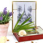 Elan Glass Photo Frame, Wall Decoration and Table Top 7X9.75 IN (Large, Clear)