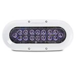Ocean Led X-Series X16 LED (Color: RGBW)
