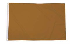 AZ FLAG - Plain Gold Flag - 3x5 Ft - 100D Polyester Gold Solid color Banner with Two Metal Grommets - Fade Resistant - Vivid Colors - 3' x 5' Feet - 150x90 Cm